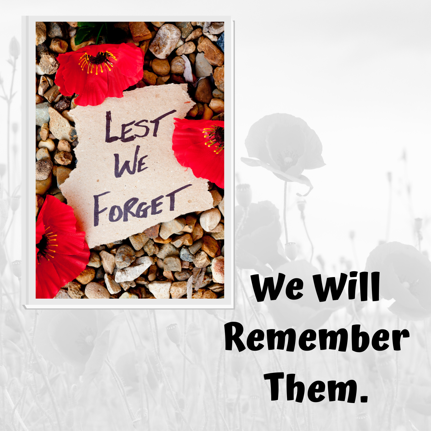 ANZAC DAY - WE WILL REMEMBER THEM - Activity Pack