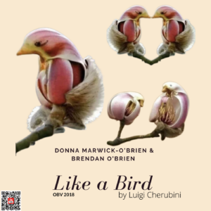 Like a Bird by Luigi Cherubini
