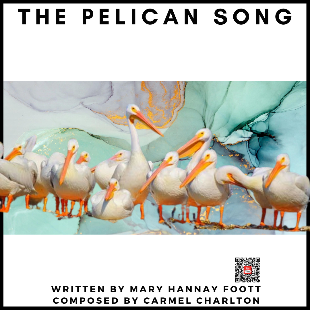 The Pelican Song