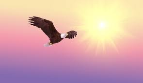 Like a Bird by Luigi Cherubini - Image 2