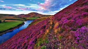 Skye Boat Song - Image 2